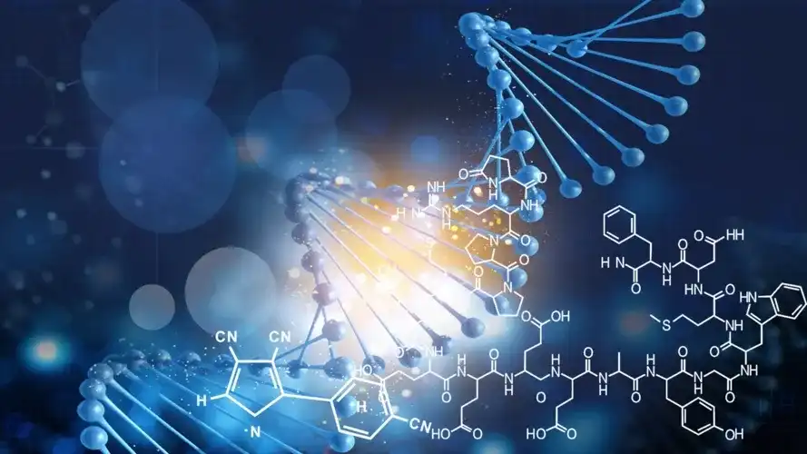 生物计算 生物计算